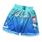 Nba Shorts – Streetwear Fit | Daily Drop
